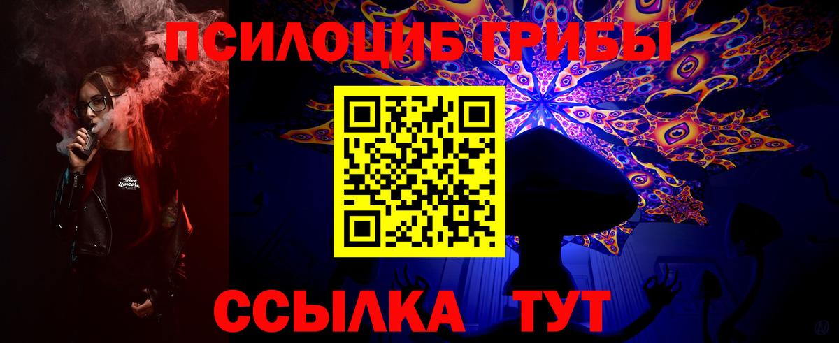 Галлюциногенные грибы прущие грибы Мурино